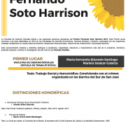Premio Fernando Soto Harrison
