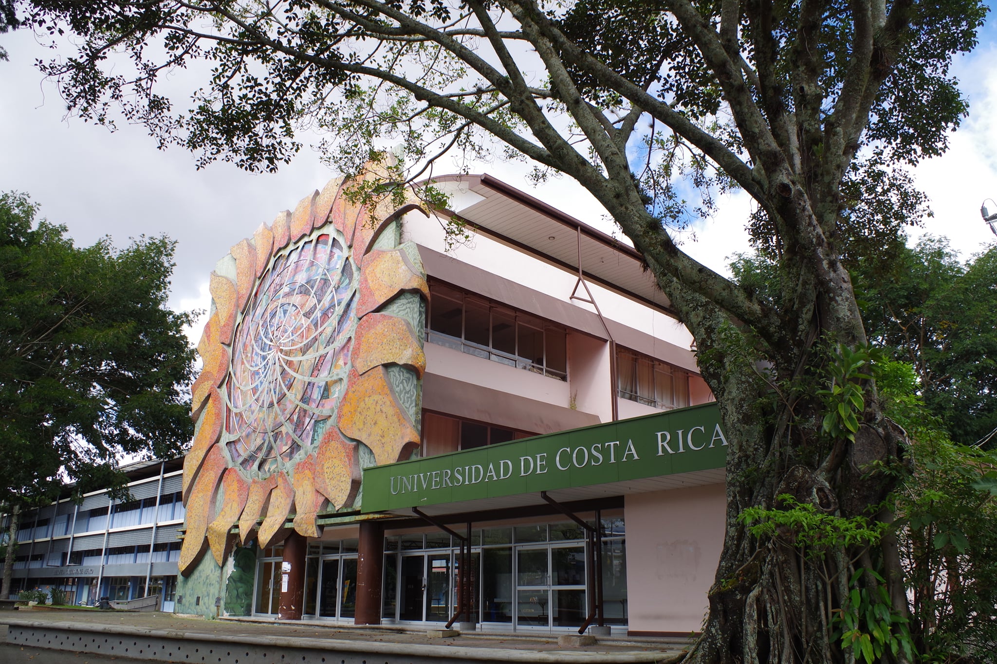 El Girasol
